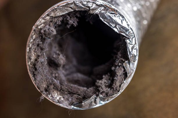 Best Air Duct Cleaning Near Me  in Wilber, NE