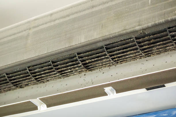 Best Dryer Vent Cleaning Services  in Wilber, NE