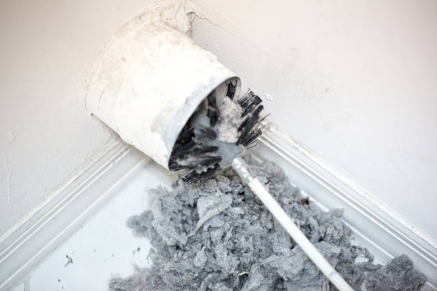 Best Ductwork Cleaning Services  in Wilber, NE